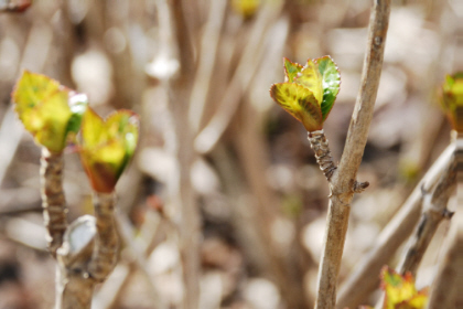 090307-07.jpg