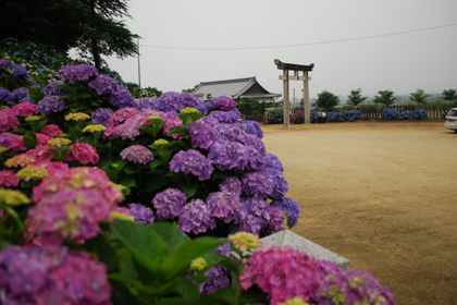 100620粟井神社1.JPG