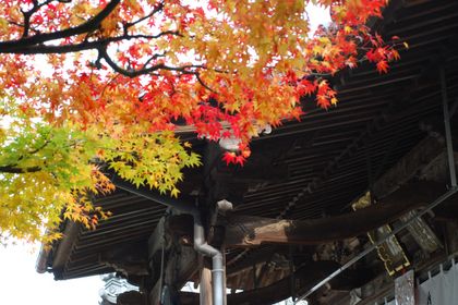 101114_白峯寺_大師堂.JPG