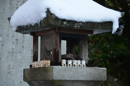 110211_雪宿り.JPG