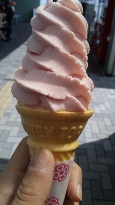 110409_さくら2.jpg