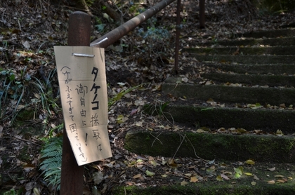 110424_御自由に.JPG