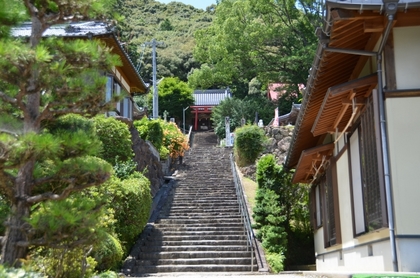 110716_06_龍光寺.JPG