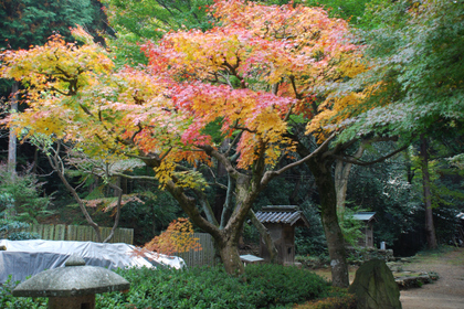 111114_白峯寺2.JPG
