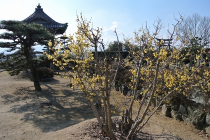 120129_延命院.jpg