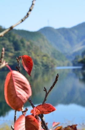 121021_3.jpg
