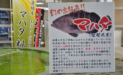 130113_幻の高級魚.jpg