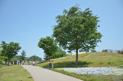 DSC_9147.JPG