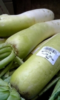 daikon.jpg