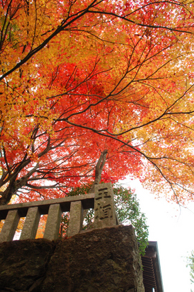 101114_根香寺2.JPG